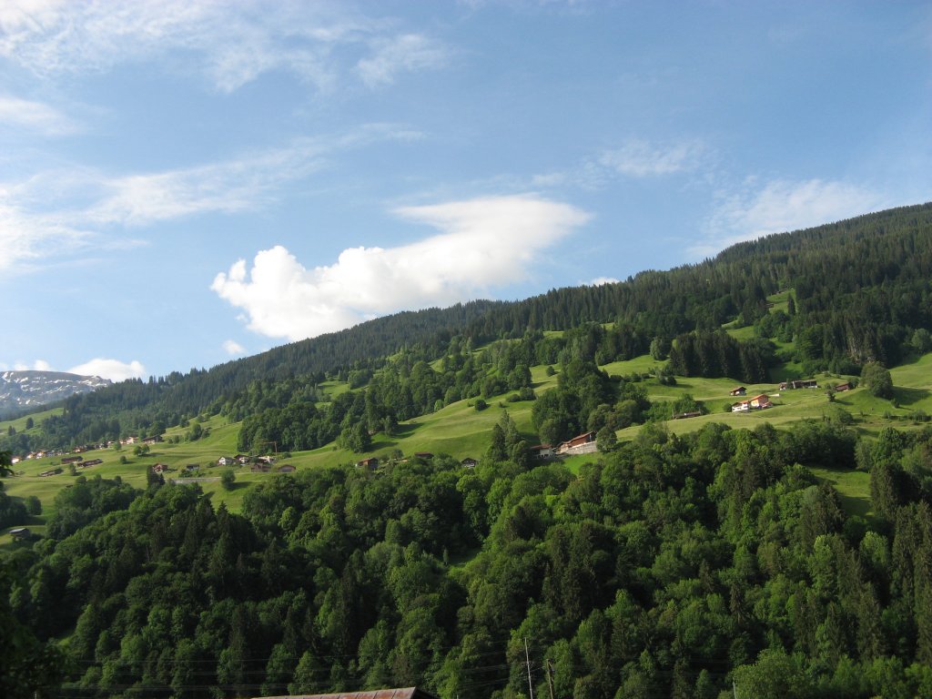 Saas